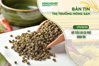 Thị trường nông sản 1/11/2025: Hồ tiêu và cà phê bình ổn