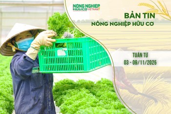 Bản tin Nông nghiệp Hữu cơ, tuần từ 03 - 09/11/2025