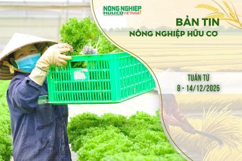 Bản tin Nông nghiệp Hữu cơ, tuần từ 8 - 14/12/2025