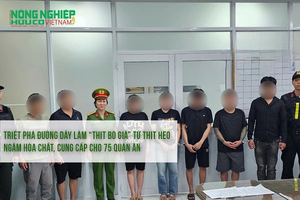 Triệt phá đường dây làm “thịt bò giả” từ thịt heo ngâm hóa chất