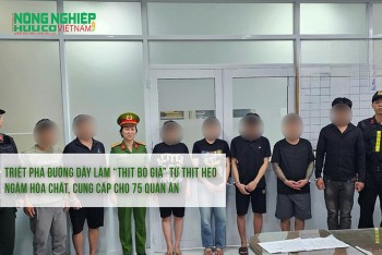 Triệt phá đường dây làm “thịt bò giả” từ thịt heo ngâm hóa chất