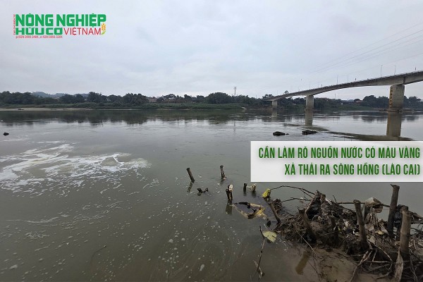 Cần làm rõ nguồn nước có màu vàng xả thải ra sông Hồng (Lào Cai)