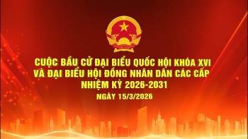 Quy trình bỏ phiếu bầu cử ĐBQH khoá XVI và đại biểu HĐND các cấp nhiệm kỳ 2026-2031