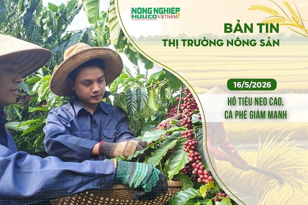 Thị trường nông sản 16/5/2026: Hồ tiêu neo cao, cà phê giảm mạnh