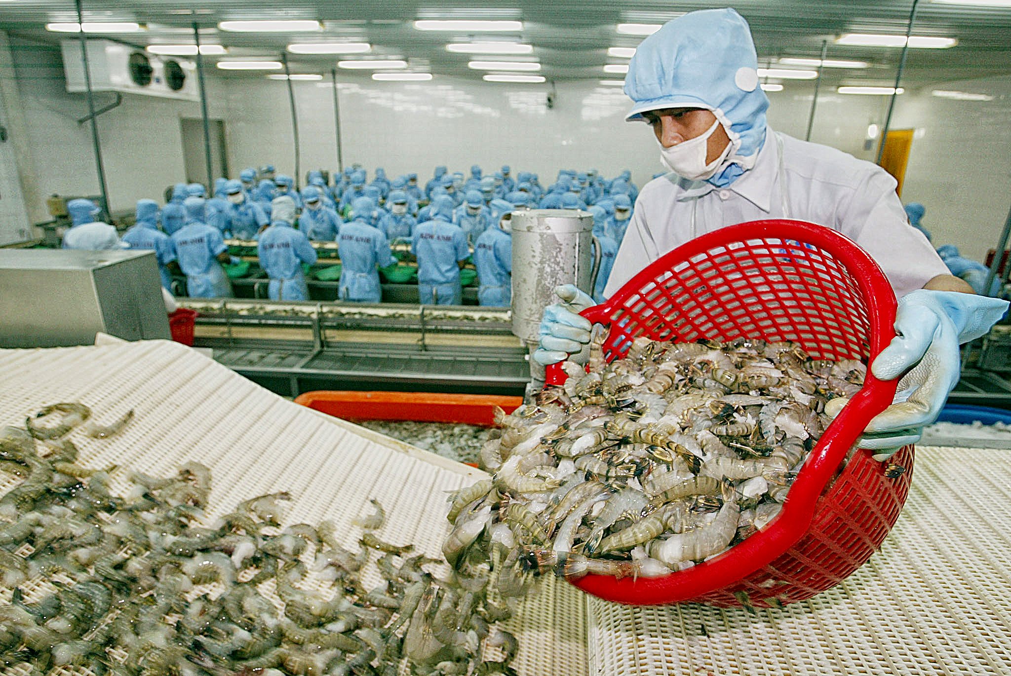 Việt Nam xếp thứ tư trong cuộc đua xuất khẩu tôm sang Mỹ